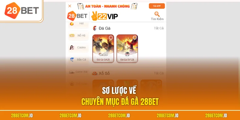 Sơ lược về chuyên mục đá gà 28BET